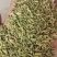 甘肃一手货源小茴香新鲜上市价格美丽质量**欢迎采购热卖中
