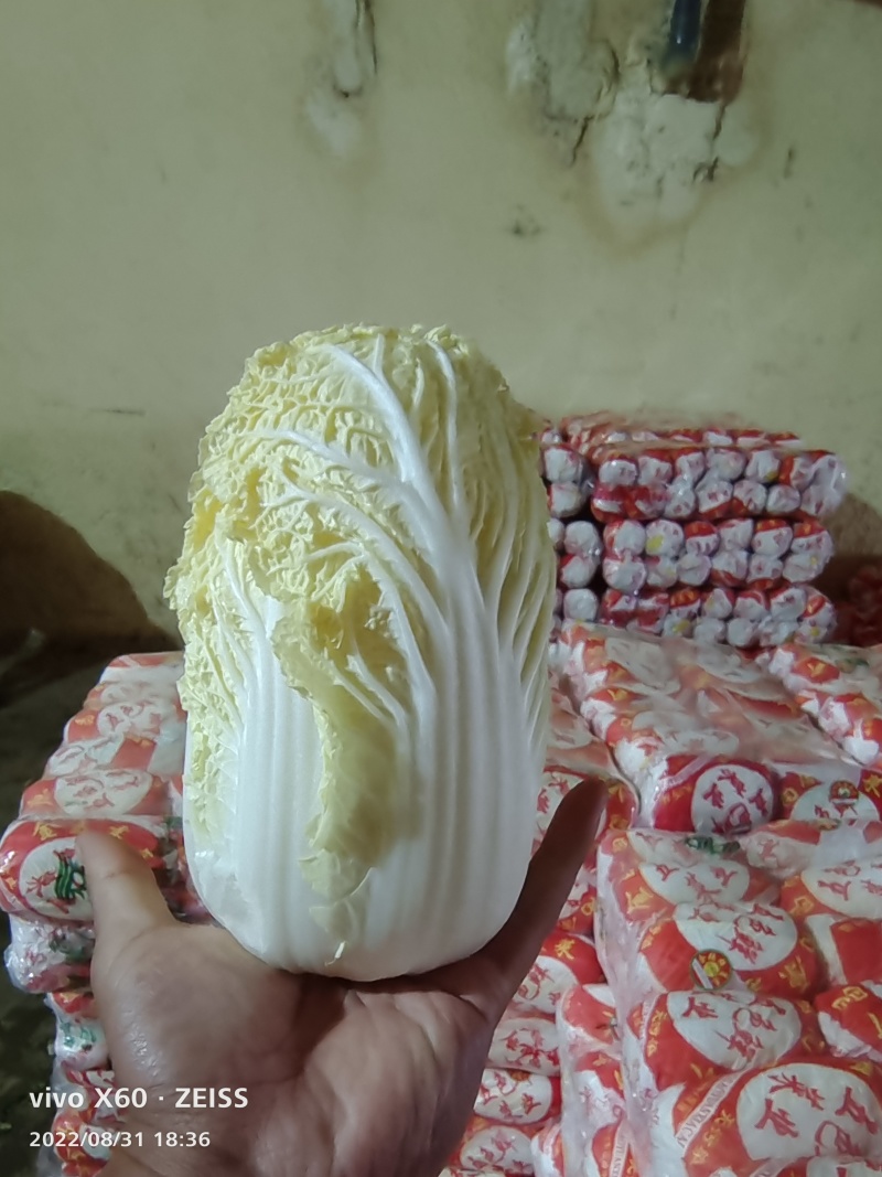 产地直发一手货源无虫无害无坏心全国可发价格低