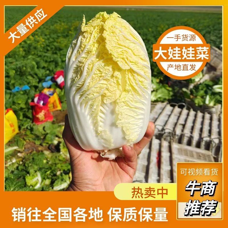 产地直发一手货源无虫无害无坏心全国可发价格低