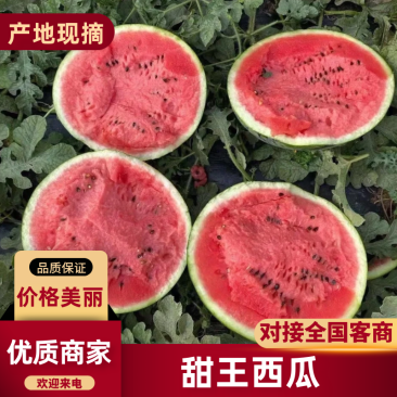 甜王西瓜河北甜王西瓜包熟包甜基地直发供应全国市场