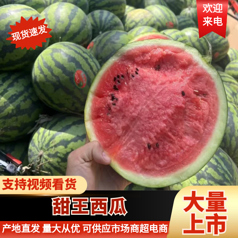 河北西瓜河北甜王西瓜皮薄多汁包熟包甜量大从优