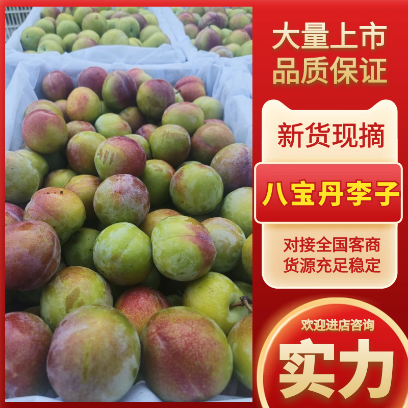 八宝丹李子湖北李子一手货源口感清脆代发全国