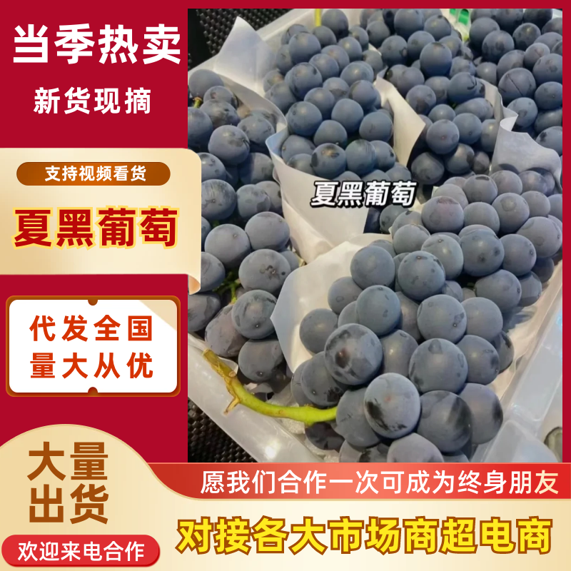 夏黑葡萄陕西葡萄，视频看货价格可谈，对接电商市场批发商