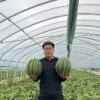陈鑫的一亩田店铺