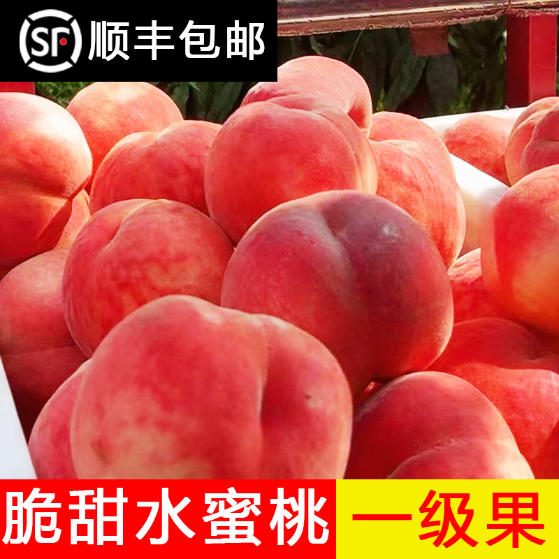 【顺丰】山西脆桃水蜜桃不软对接电商团购一件代发