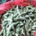 毛豆新鲜一手货源精品直发价格可谈对接商超