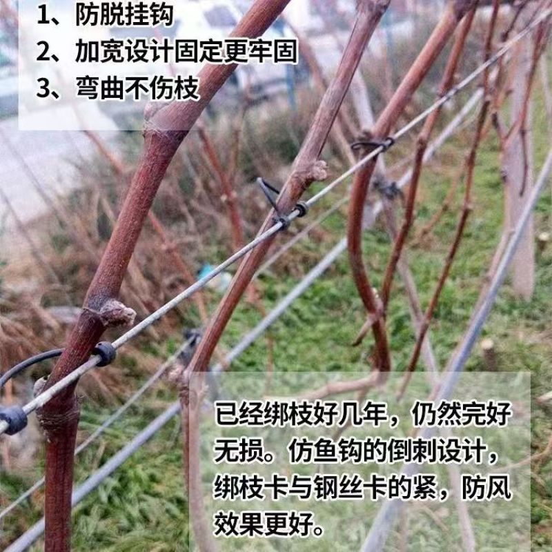 葡萄绑枝卡猕猴桃绑枝卡葡萄卡扣葡萄挂钩绑枝卡绑枝神器枝条
