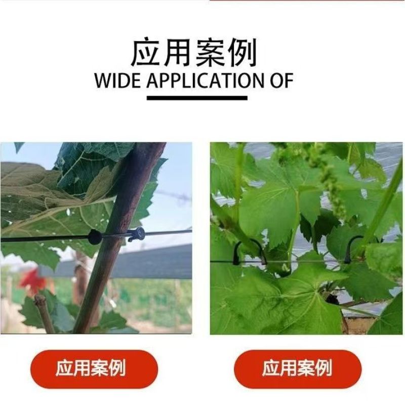 葡萄绑枝卡猕猴桃绑枝卡葡萄卡扣葡萄挂钩绑枝卡绑枝神器枝条