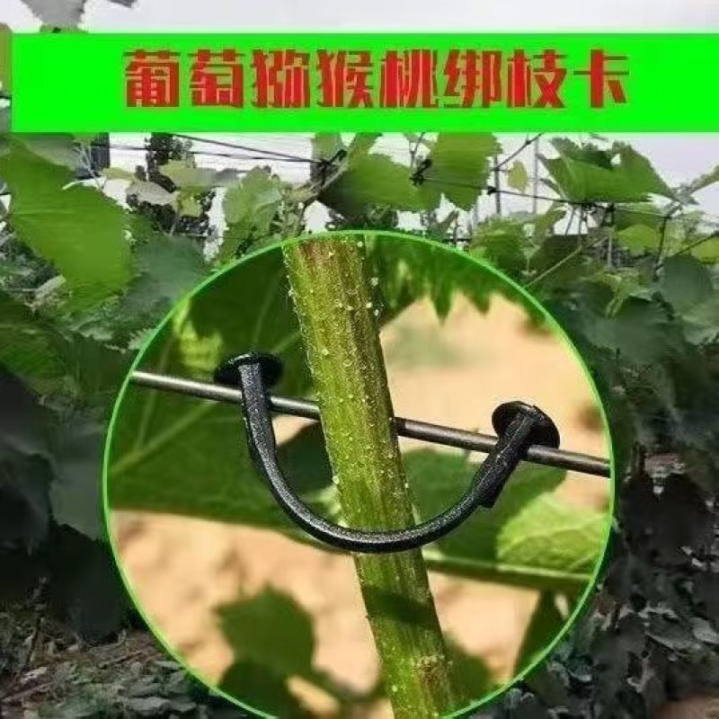 葡萄绑枝卡猕猴桃绑枝卡葡萄卡扣葡萄挂钩绑枝卡绑枝神器枝条
