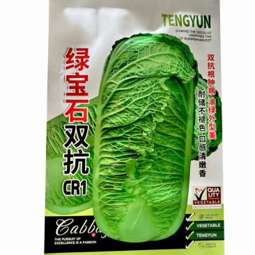 绿宝石双抗CR1青叶大白菜种子20g中晚熟抗根肿绿帮白菜