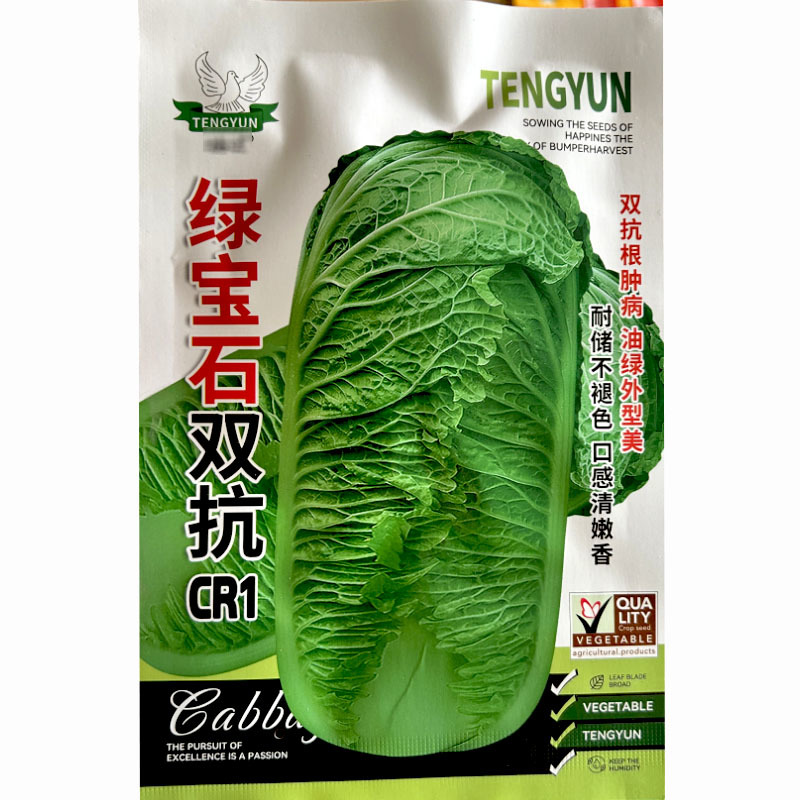 绿宝石双抗CR1青叶大白菜种子20g中晚熟抗根肿绿帮白菜