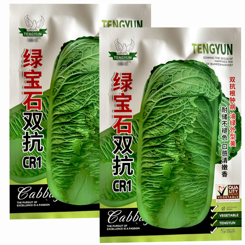 绿宝石双抗CR1青叶大白菜种子20g中晚熟抗根肿绿帮白菜