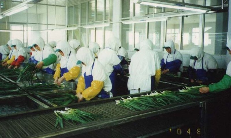 脱水香葱干对接各大平台干净卫生品质发货