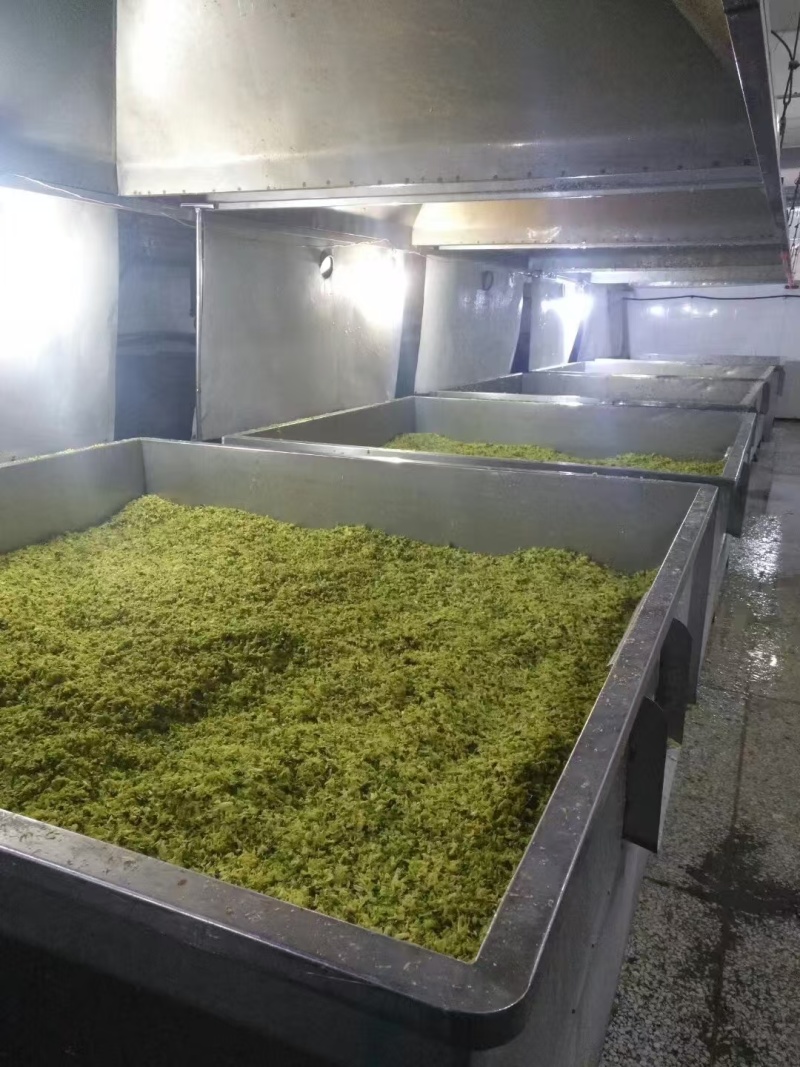 脱水甘蓝菜干经济实惠对接商超品种多规格全