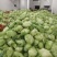 脱水甘蓝菜干经济实惠对接商超品种多规格全