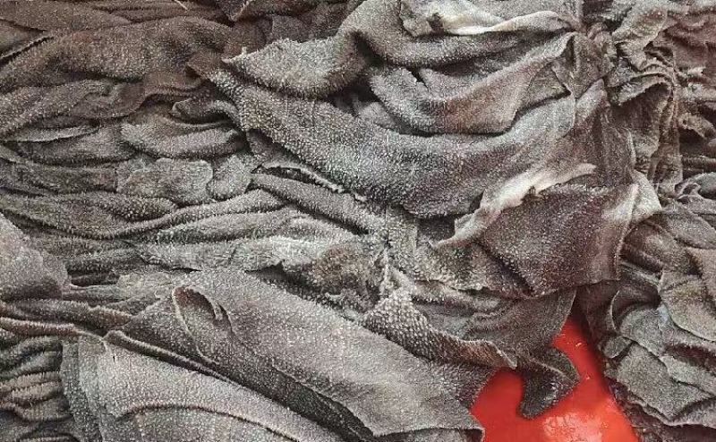 牛肚厂家直销量大质优几个优惠一手货源欢迎咨询采购