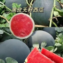 湖北西瓜精品黑无籽西瓜全国发货基地一手货源包熟包甜