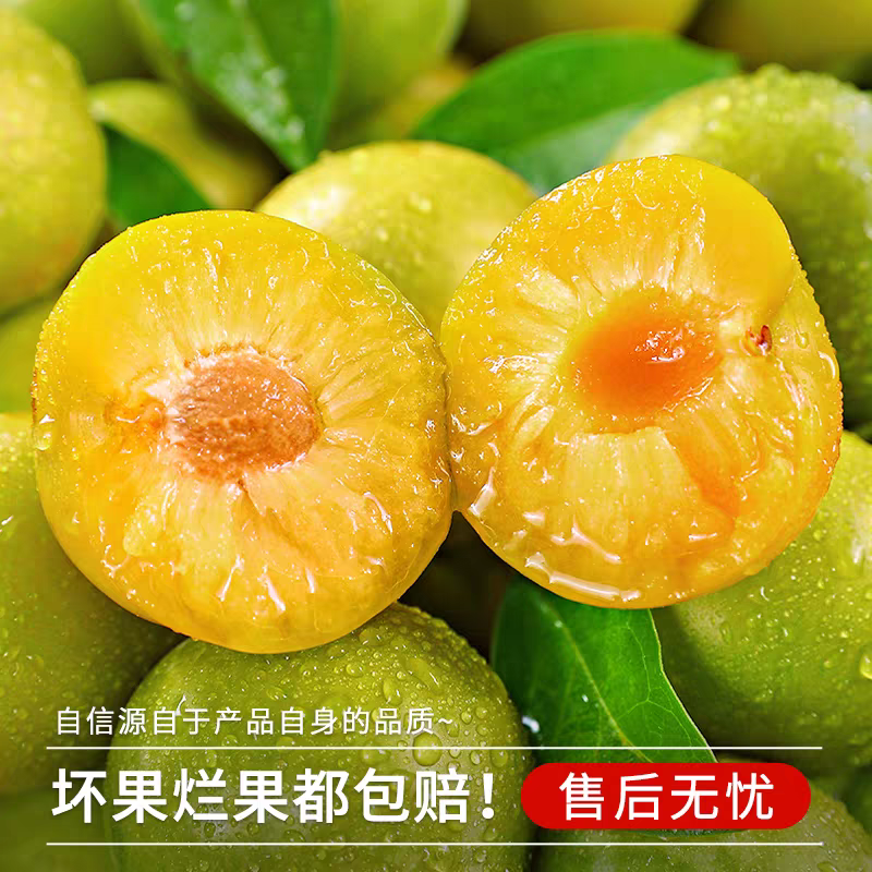 【一件代发】四川清脆脱骨李支持各大电商平台代发