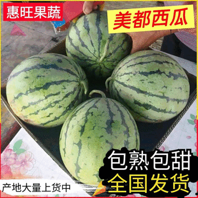 【精品美都西瓜】湖北基地直供质量保证货源充足全国发