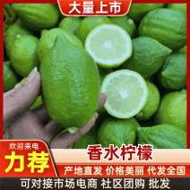 香水柠檬广西正宗香水柠檬基地直发量大从优供应全国市场