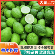 广东无籽香水柠檬柠檬产地直供质量保证货源充足