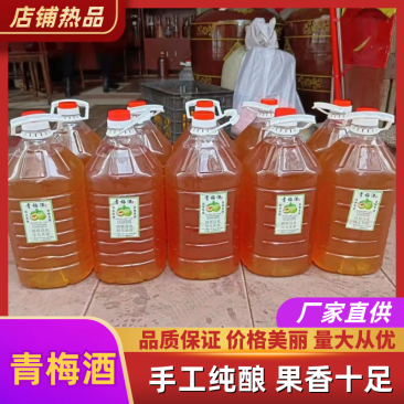 【青梅酒】果酒自酿自销味道上乘长期供货品质保证