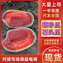 石头瓜硒砂瓜产地一手货源，大吨位供货，品质保证，价格可谈