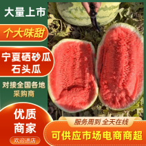 硒砂瓜宁夏石头瓜大量现货供应，规格齐全，可视频看货发全国