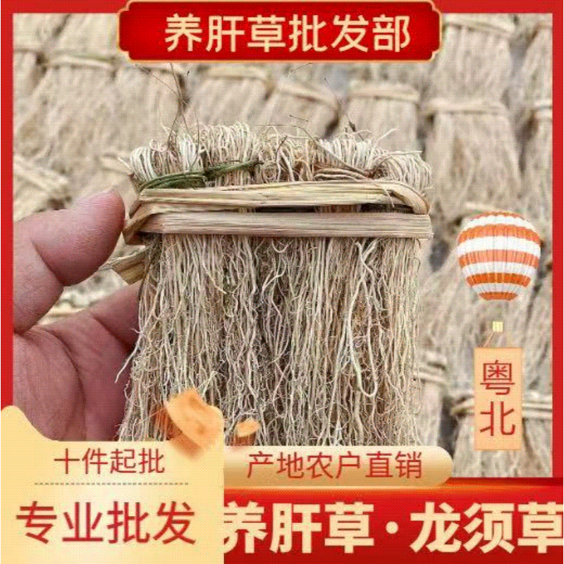 养肝草、广东韶关武江区直发、现挖现售、品质保证欢迎咨询