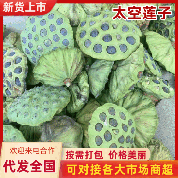 新鲜太空莲子莲蓬粤北山区本地货全国可发价格透明