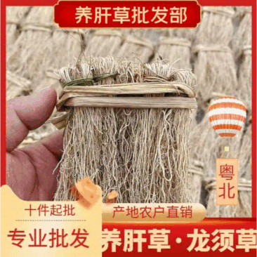 【推荐】养肝草货产地大量批发、一手货源货源充足、物美价廉