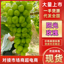 湖南常德阳光玫瑰葡萄新鲜上市甜蜜多汁坏果包赔质量保障
