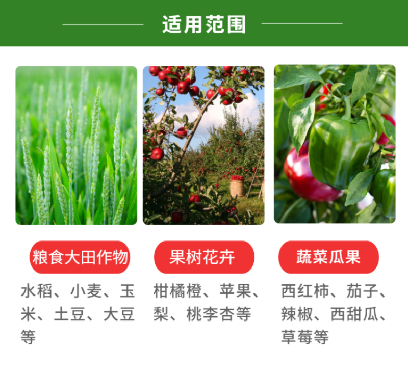 鱼蛋白水溶肥氨基酸瓜果蔬菜花卉通用型叶面农用营养液正品