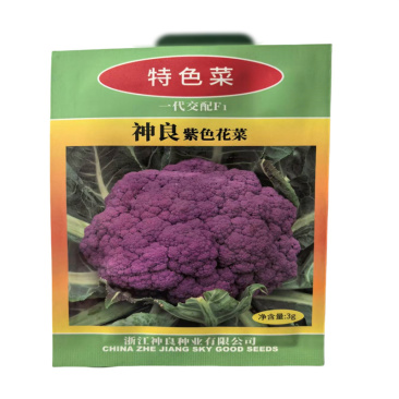 神良紫色花菜种子中熟紫菜花种子耐寒抗病高产基地籽