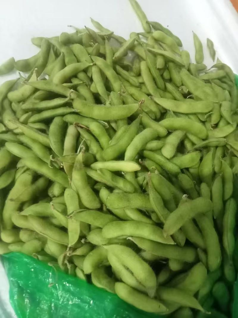 【精选毛豆】广东产地直发质量保证一手货源对接商超市场