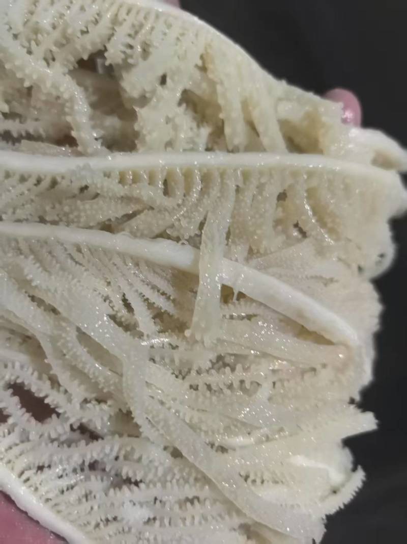 水煮千层/茶色千层/牛毛肚支持定制千层厂家直销量大质优