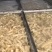 牛主筋牛筋量大质优价格优惠一手货源欢迎咨询采购