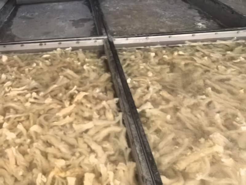 牛主筋牛筋量大质优价格优惠一手货源欢迎咨询采购