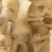 牛主筋牛筋量大质优价格优惠一手货源欢迎咨询采购