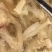 牛主筋牛筋量大质优价格优惠一手货源欢迎咨询采购