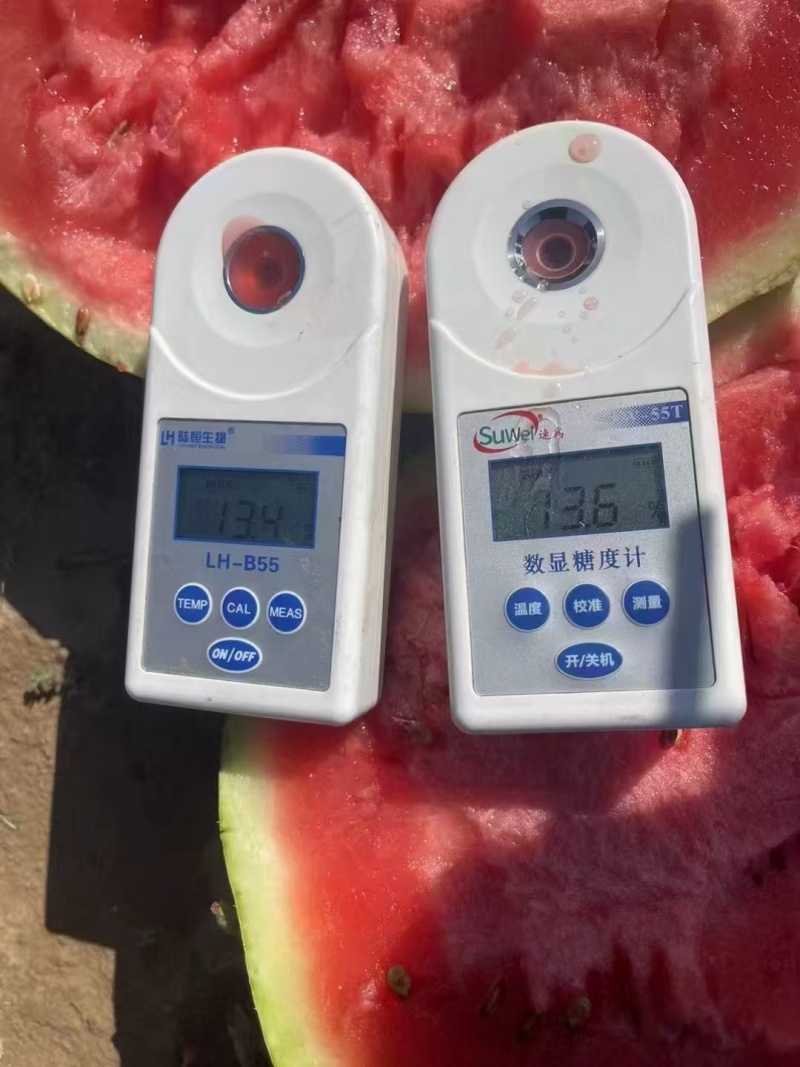 宁夏硒砂瓜大量有货产地一手货源可视频看货