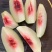 桃-鹰嘴蜜桃广东河源专属，7月上新，新鲜上市支持看货