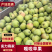 嘎啦苹果山东苹果青苹果大量供应品质保证欢迎咨询