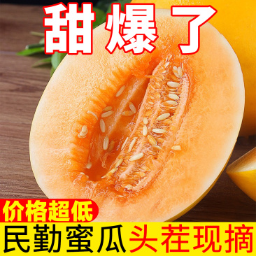 正宗民勤蜜瓜一件代发电商抖音淘宝多多，主播直播带货