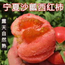 宁夏大红西红柿&沙瓤西红柿/产地直供/可全国发货