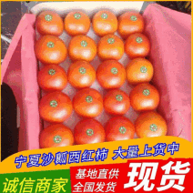 【大批量上货】大红西红柿&宁夏西红柿/产地现摘/全国代发