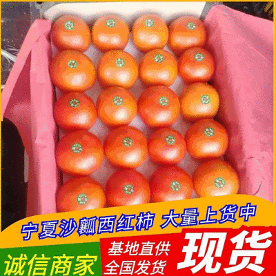 【大批量上货】大红西红柿&宁夏西红柿/产地现摘/全国代发