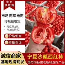 宁夏沙瓤西红柿&宁夏西红柿&硬粉西红柿/产地代发全国