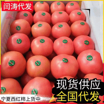 《硬粉西红柿》宁夏西红柿/沙瓤西红柿/产地直发/代发全国