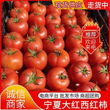 大红西红柿&宁夏西红柿/产地大量供应/现摘现发/全国发货